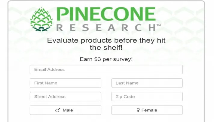 Pinecone Research.jpg