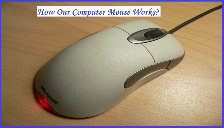 How our computer mouse works.jpg