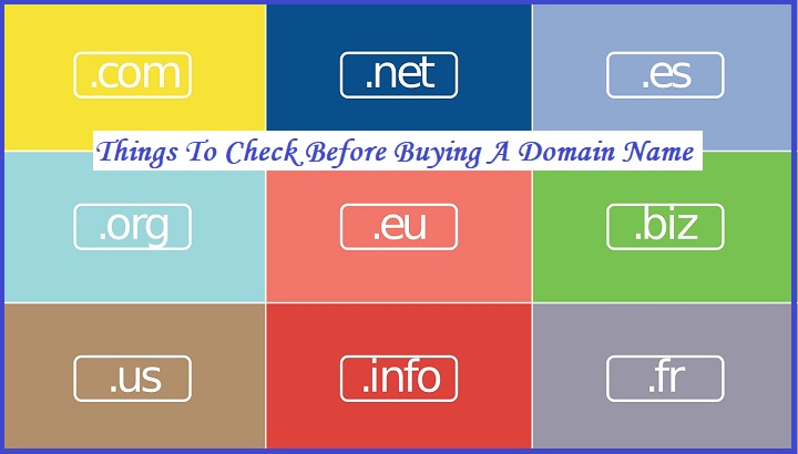 Things To Check Before Buying A Domain Name.jpg